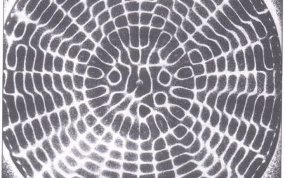 The Soul’s Journey: Fear